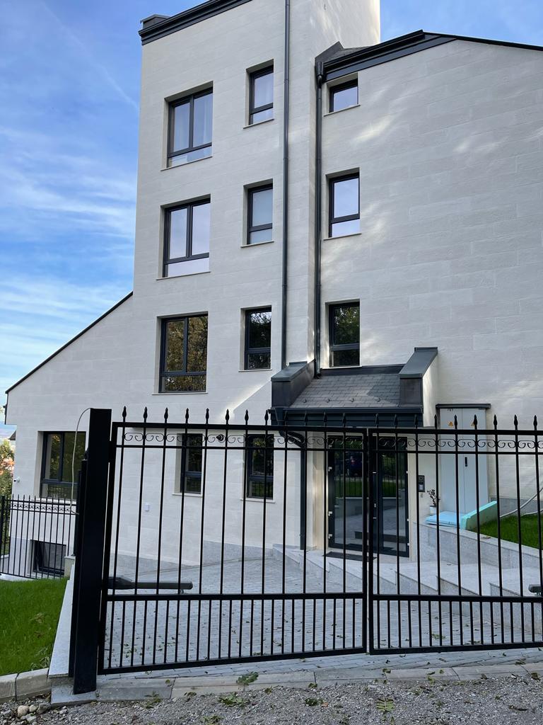 Entrance with an anthracite canopy, wrought-iron gate and a white flexible stone facade