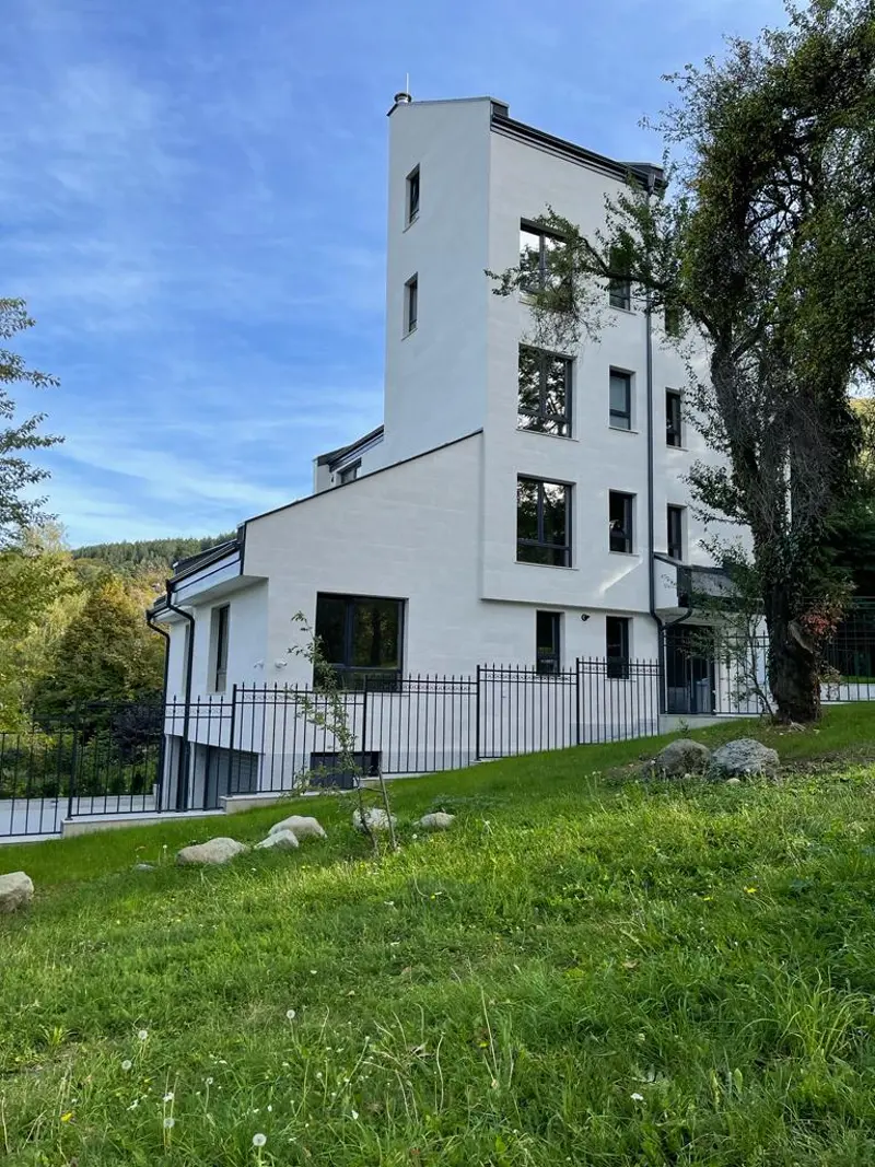 White flexible stone on a private house